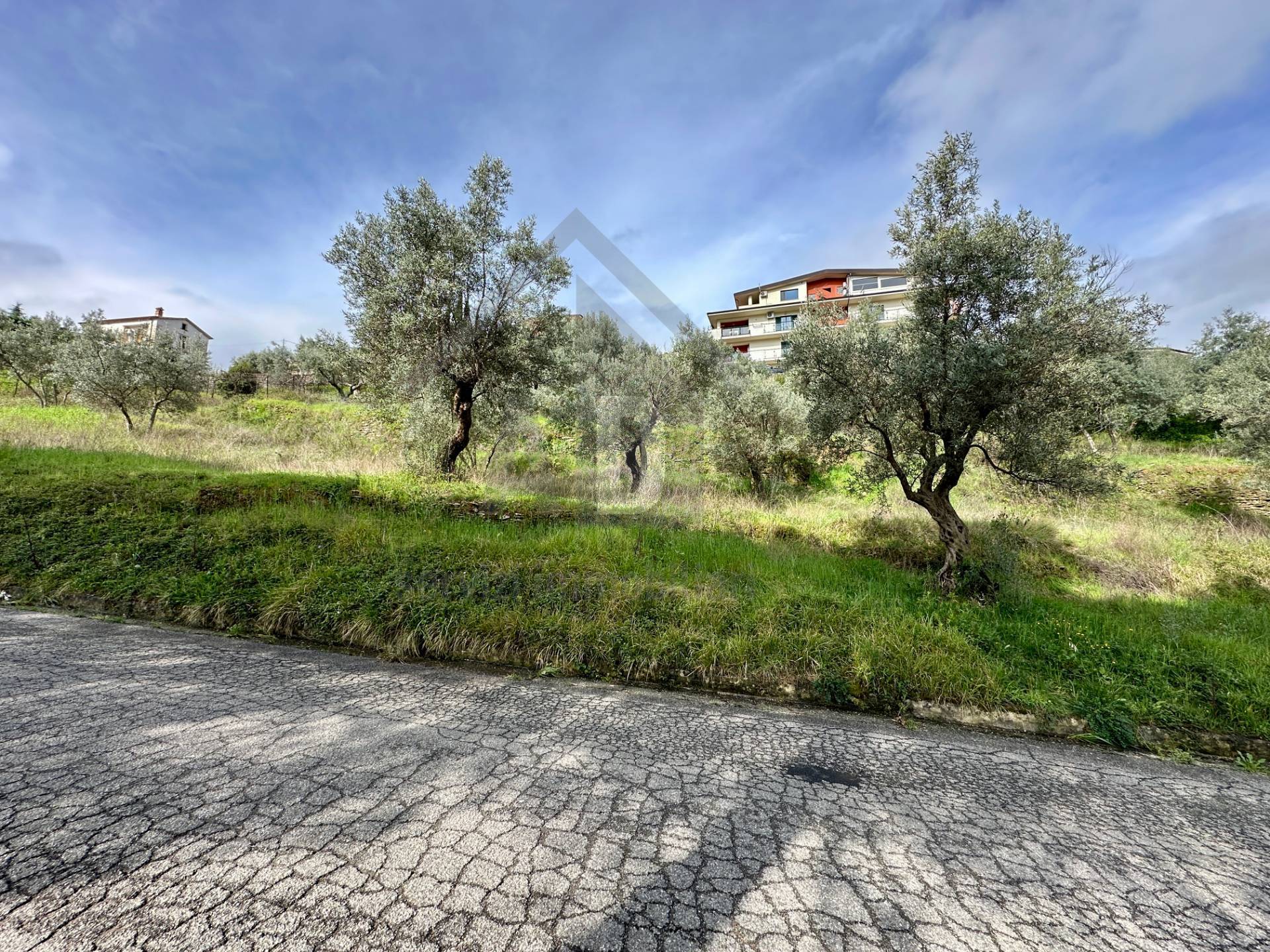 Terreno Agricolo in vendita a Mendicino, Tivolille