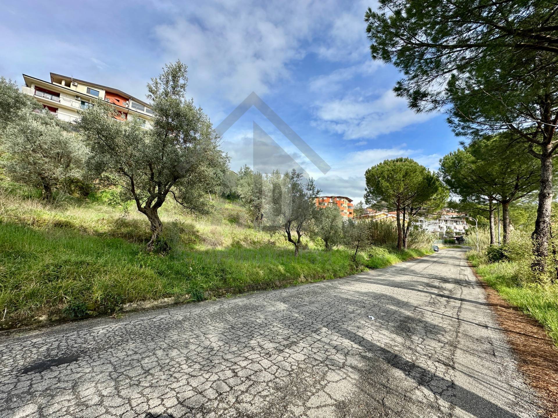 Terreno Agricolo in vendita a Mendicino, Tivolille