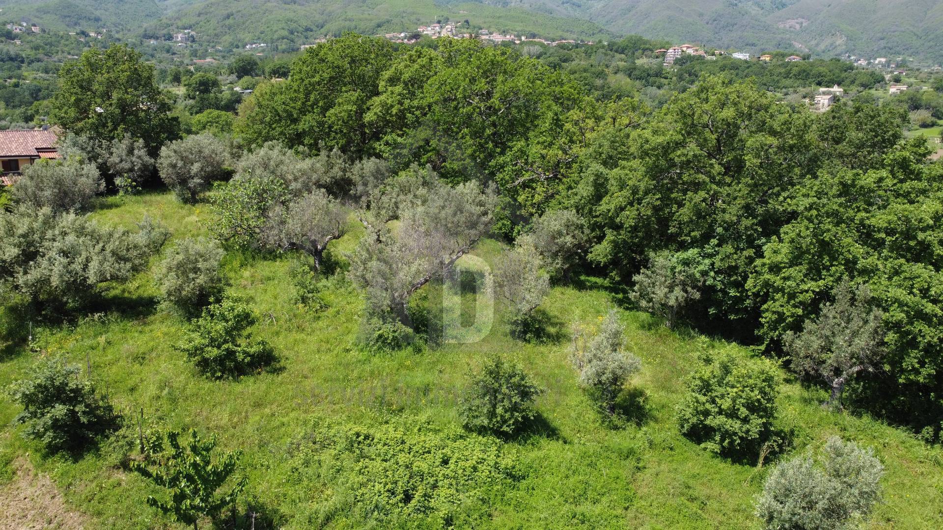 Terreno edificabile in vendita a Mendicino, Tivolille