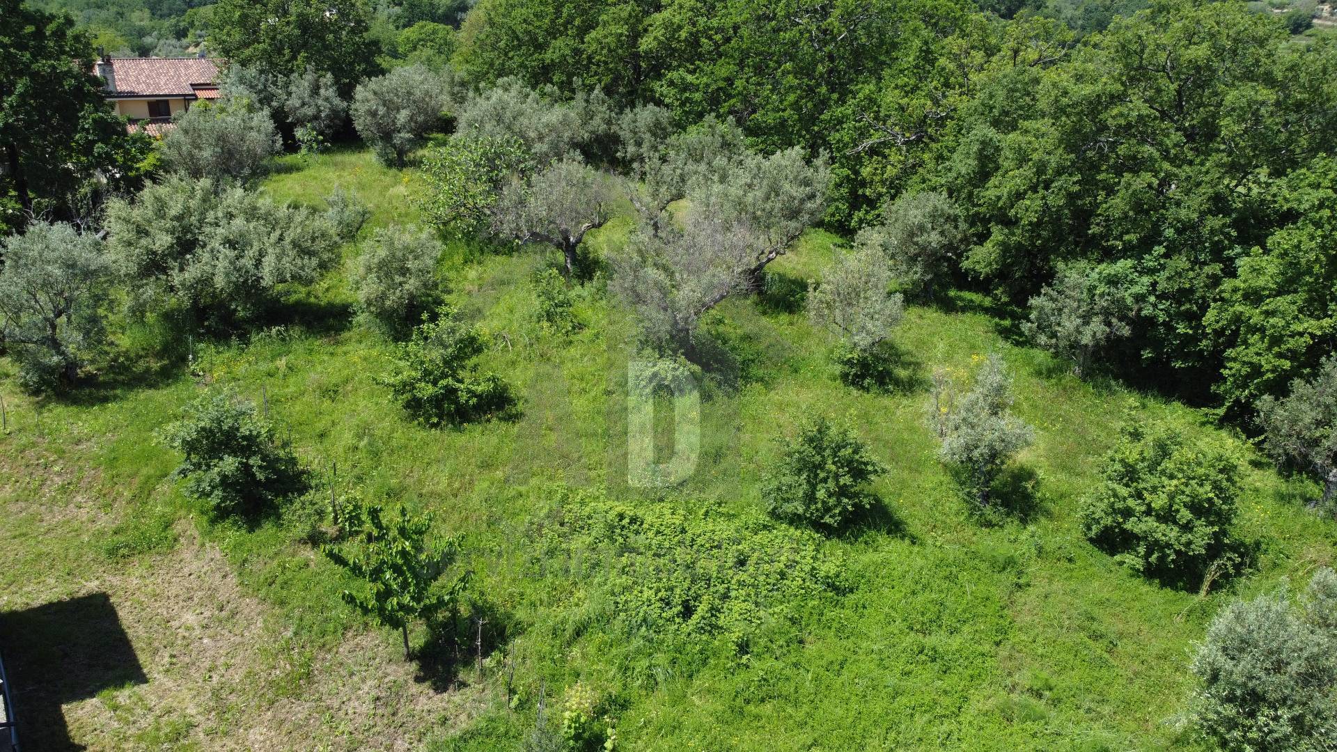 Terreno edificabile in vendita a Mendicino, Tivolille
