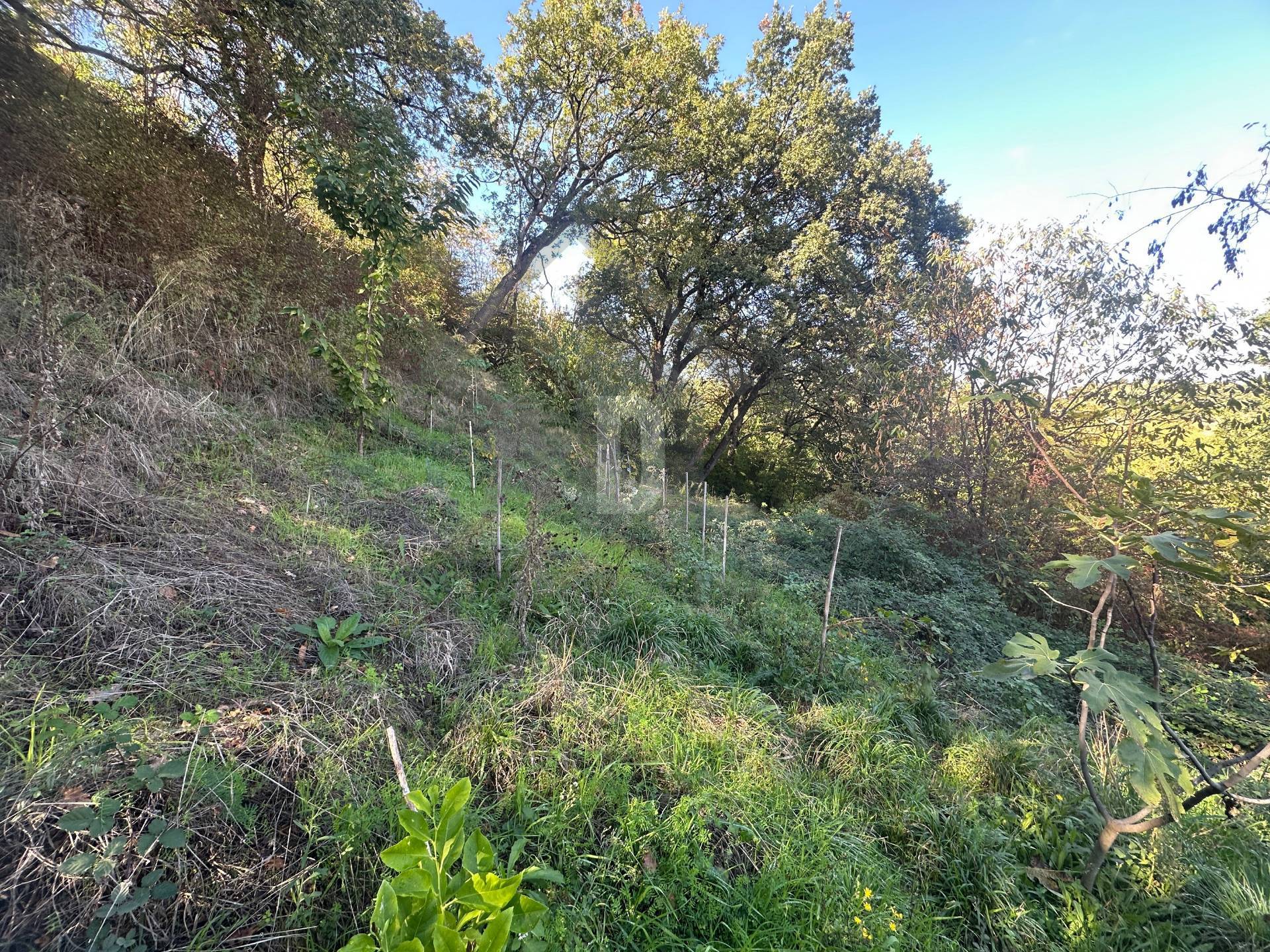 Terreno edificabile in vendita a Castrolibero