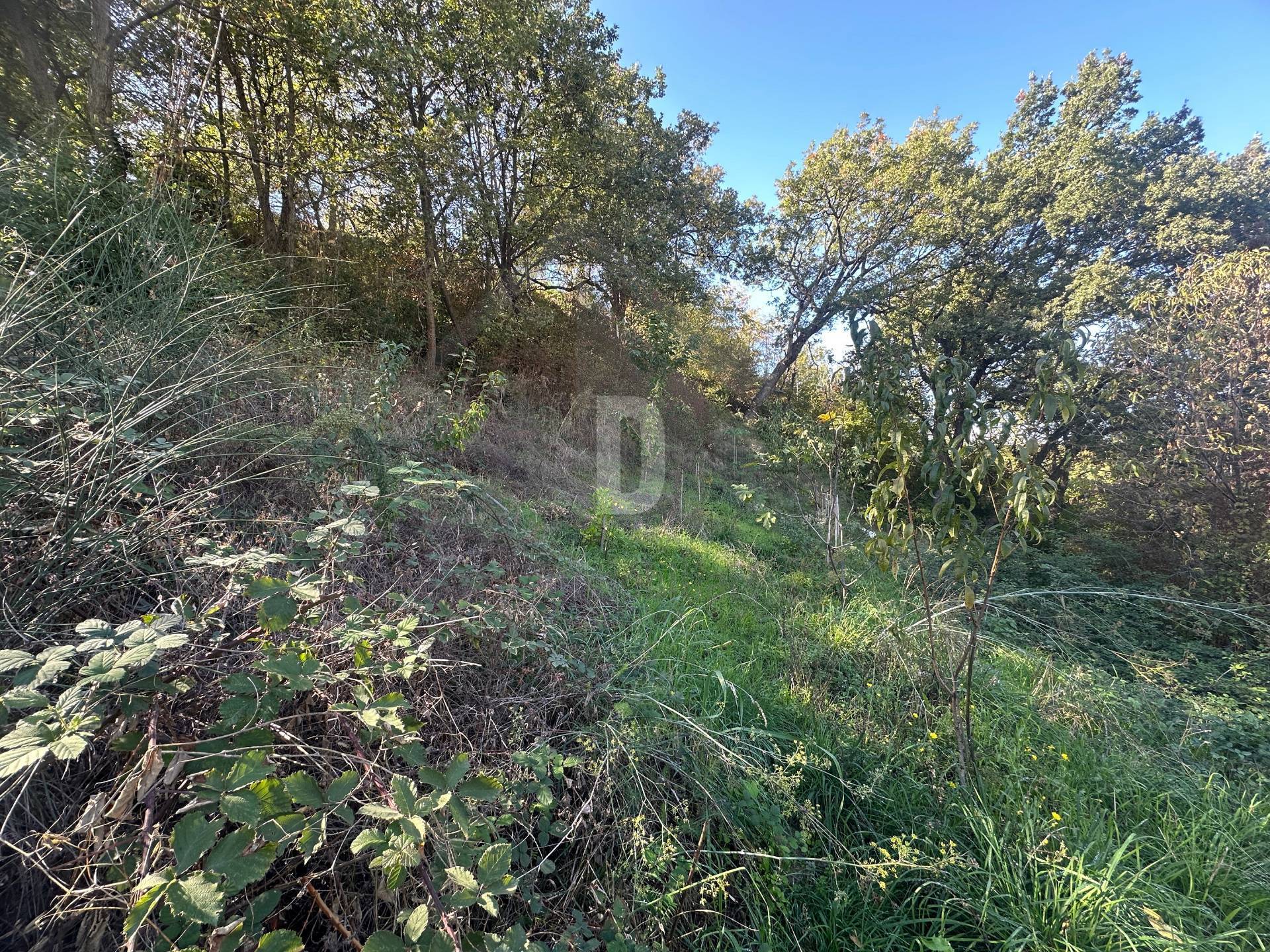 Terreno edificabile in vendita a Castrolibero