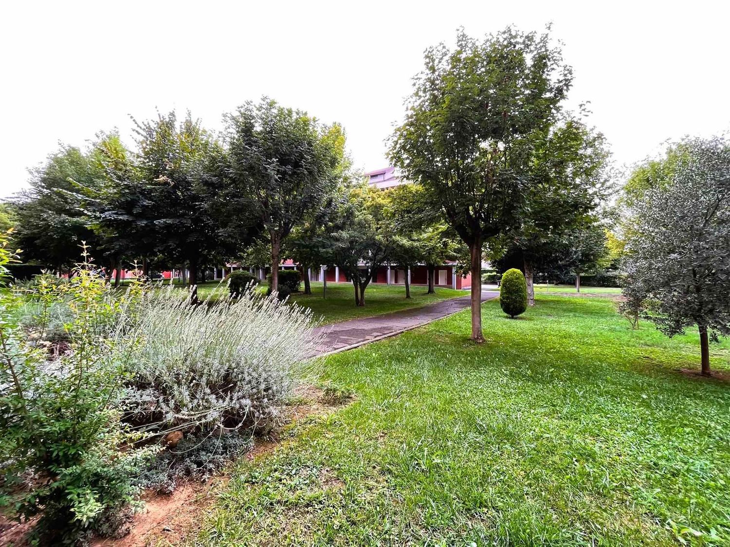 immagine annuncio 2 di 6