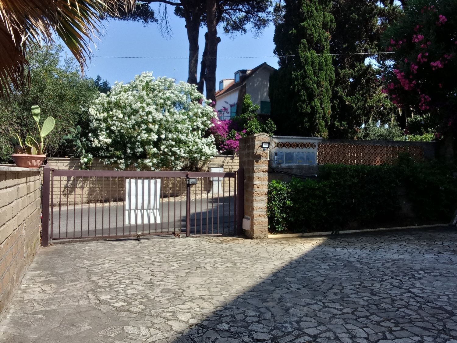 immagine annuncio 4 di 6