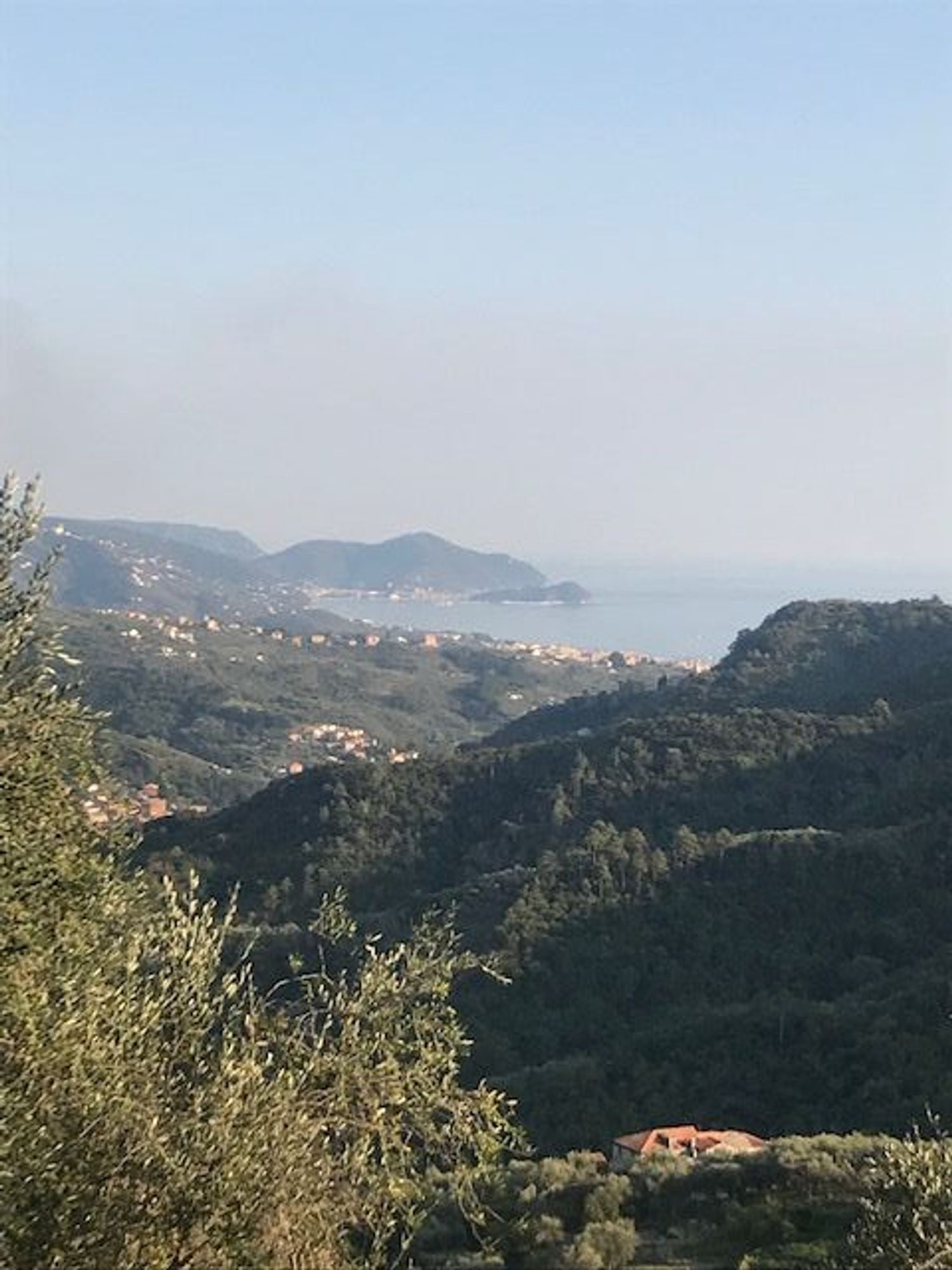 immagine annuncio 1 di 6