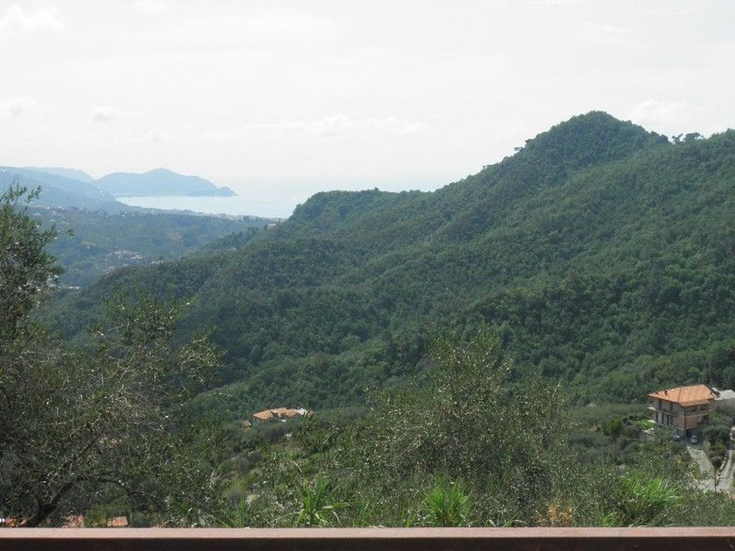 immagine annuncio 2 di 6