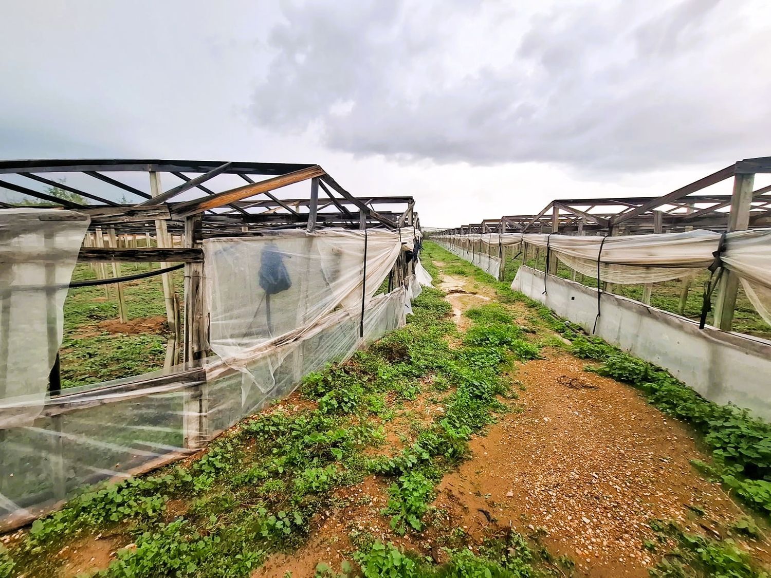 Terreno in vendita in contrada anguilla 0, Vittoria