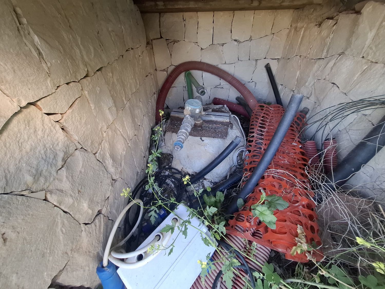 immagine annuncio 4 di 6