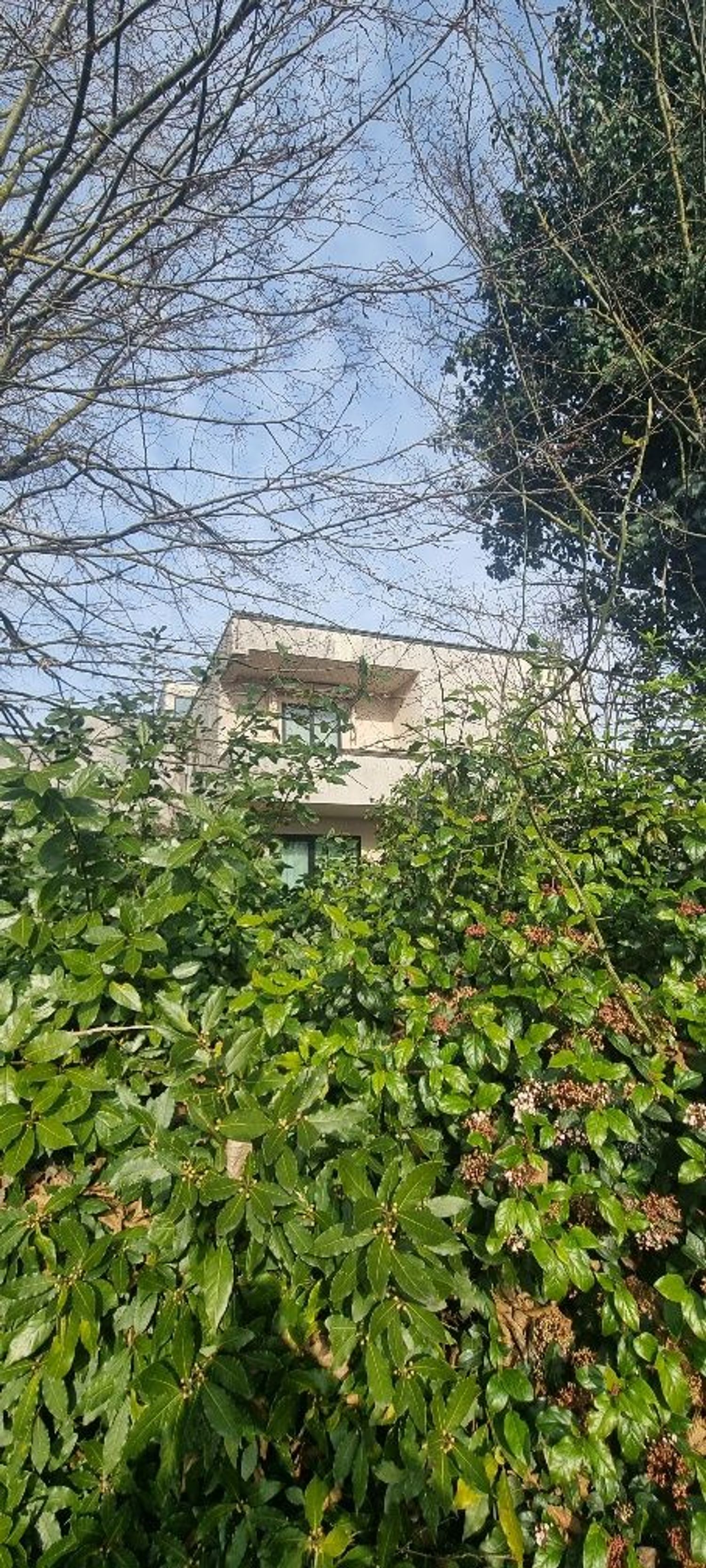 Locale commerciale in vendita in via baldini nullo 1, Cervia