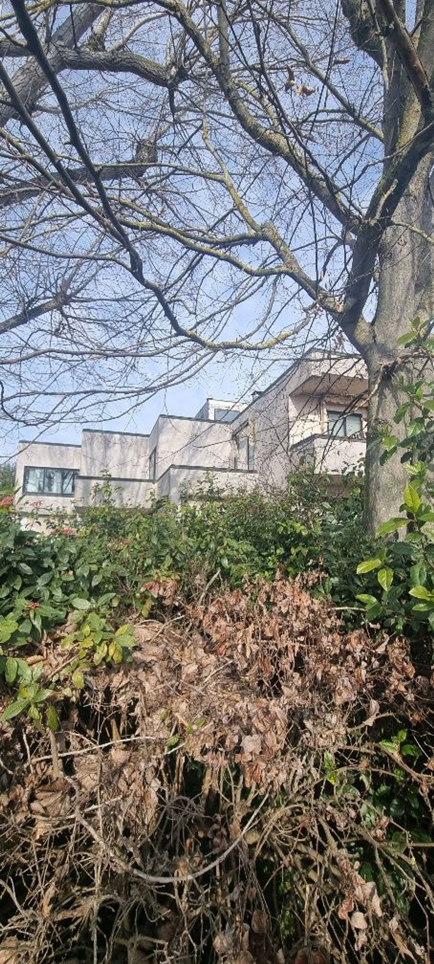 Locale commerciale in vendita in via baldini nullo 1, Cervia