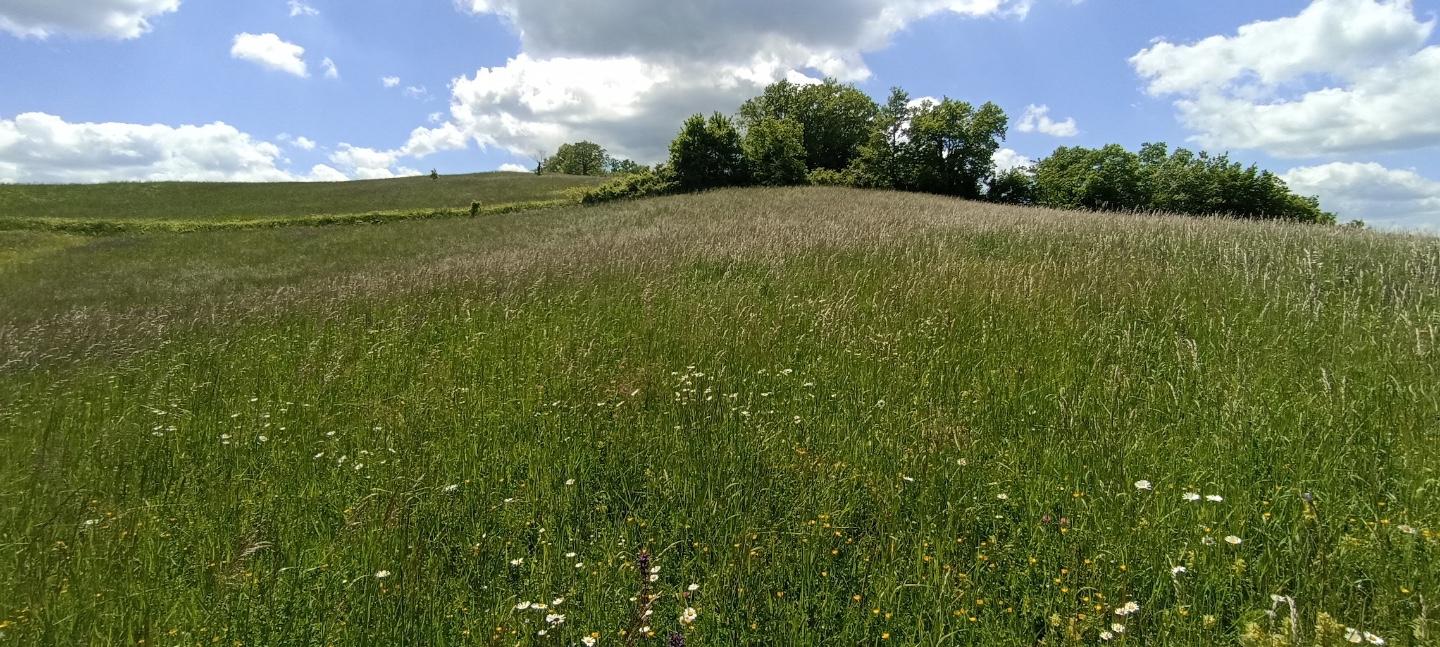 Terreno Edificabile in vendita, Tizzano Val Parma madurera