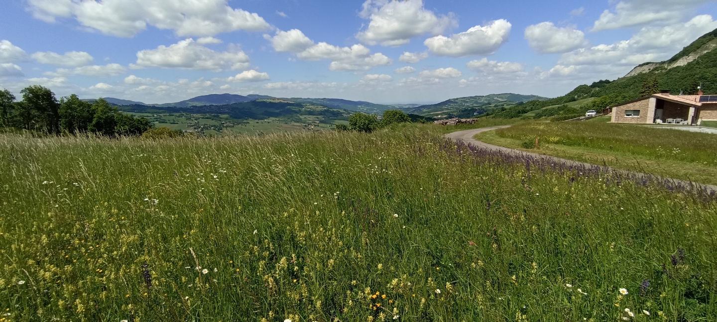 Terreno Edificabile in vendita, Tizzano Val Parma madurera