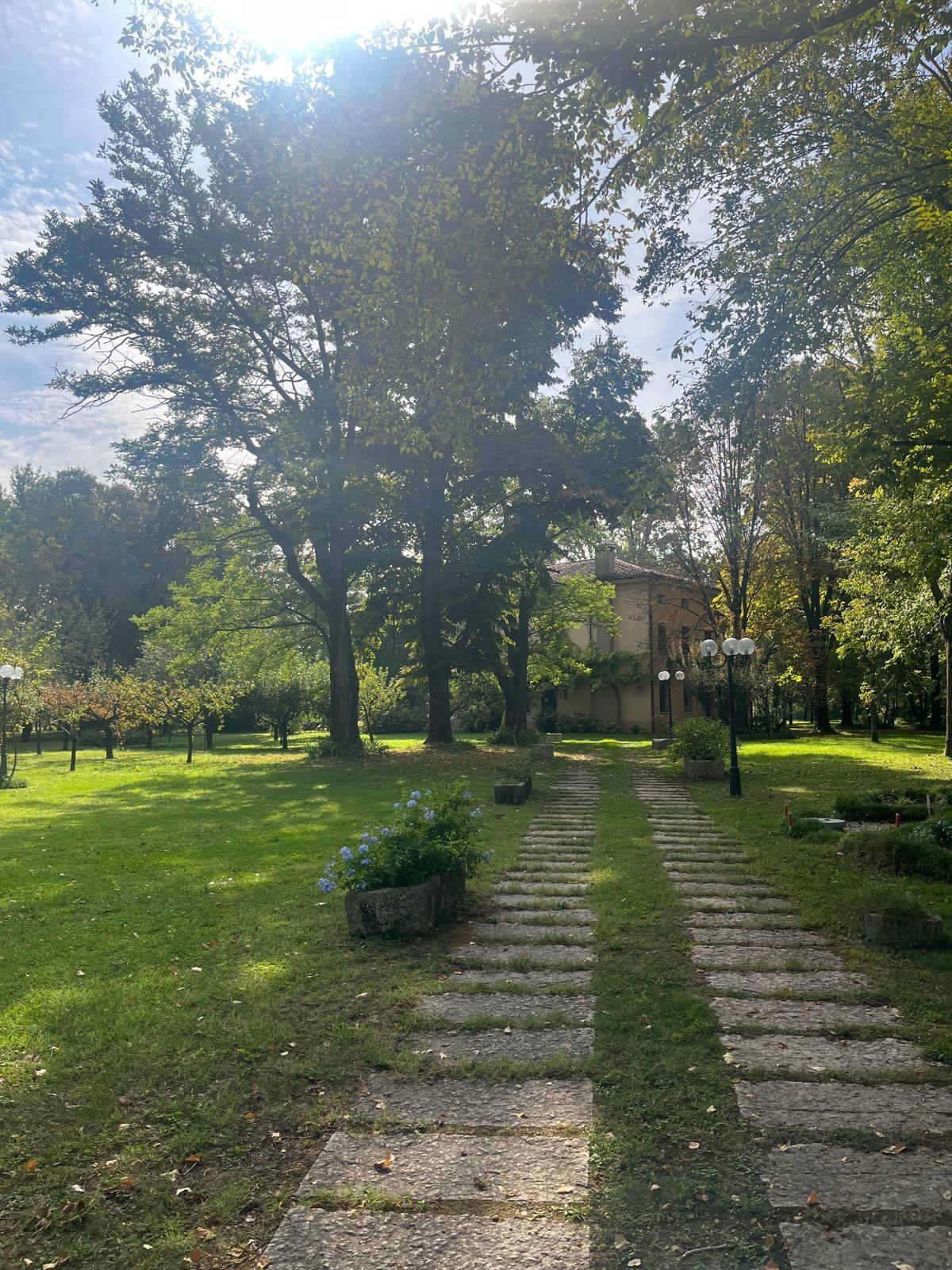 Rustico con giardino a Roncoferraro