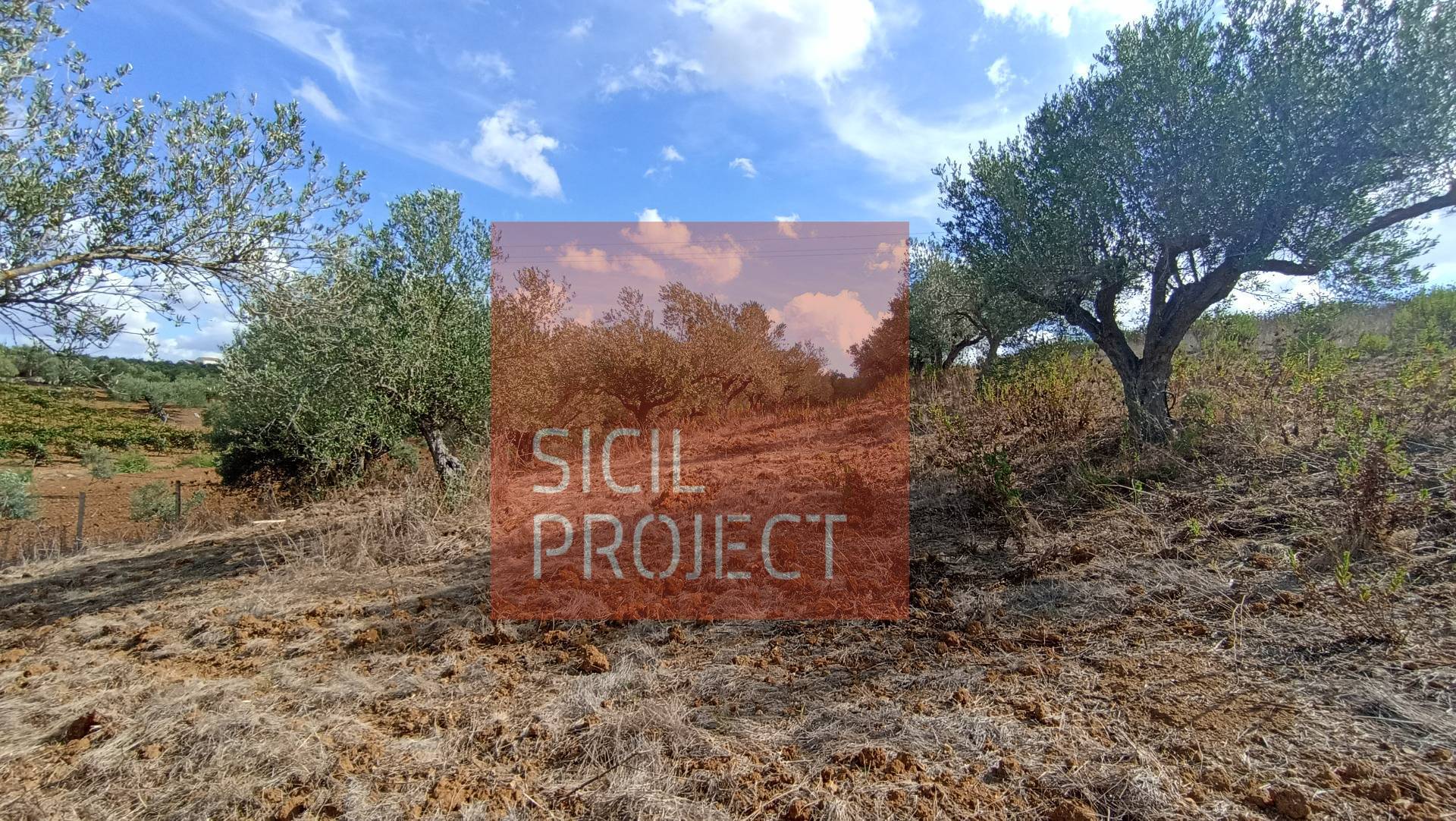 Terreno Agricolo in vendita a Partinico