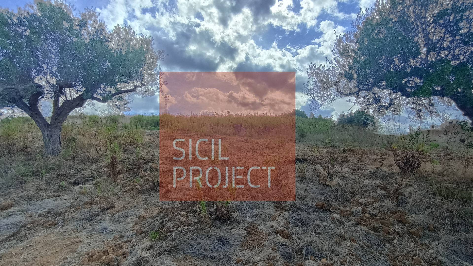 Terreno Agricolo in vendita a Partinico