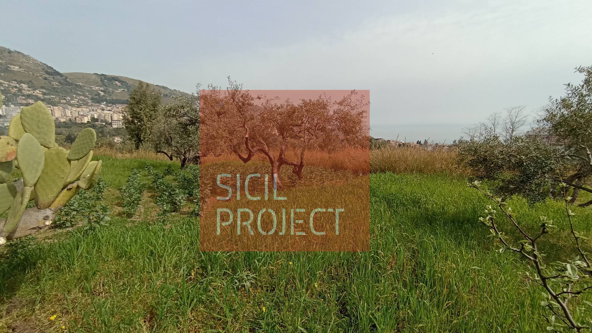 Terreno edificabile in vendita a Monreale