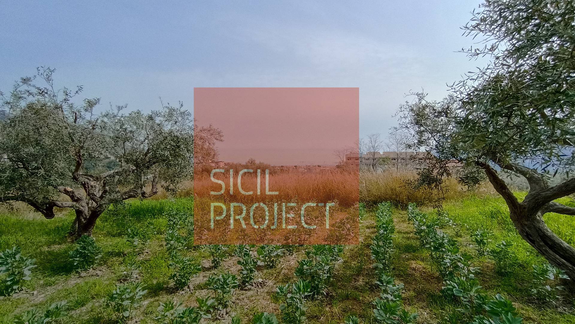 Terreno edificabile in vendita a Monreale