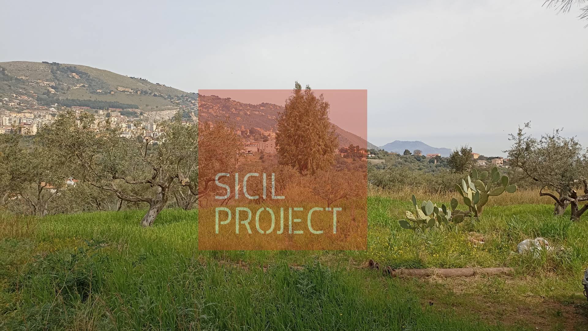 Terreno edificabile in vendita a Monreale