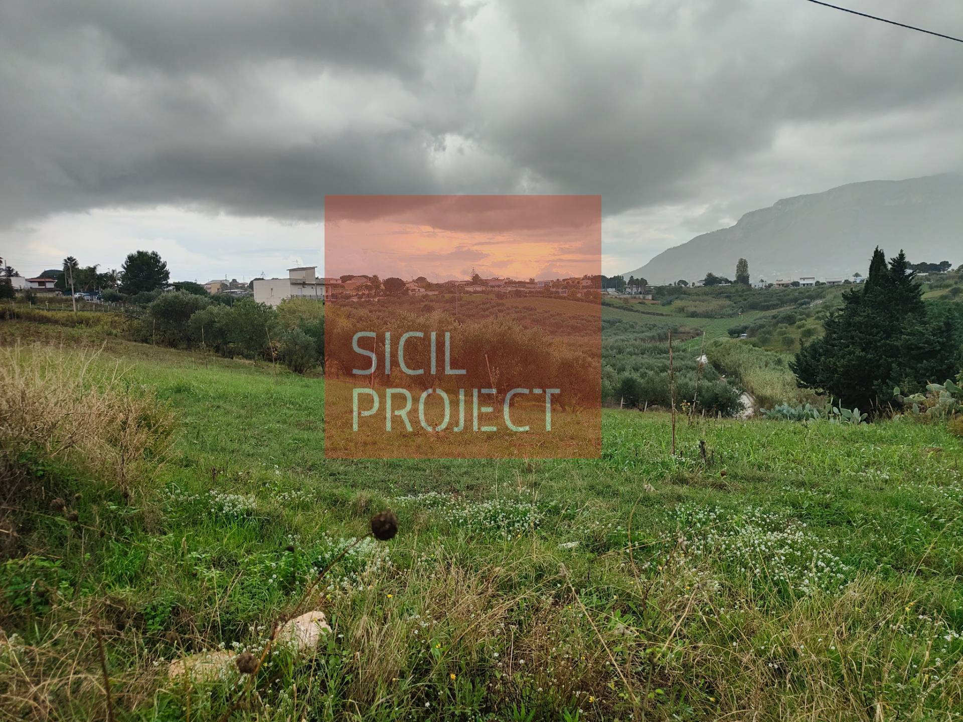 Terreno Agricolo in vendita a Alcamo