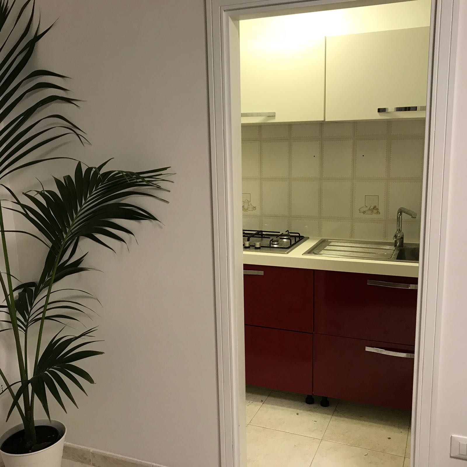 Appartamento in affitto a Palermo