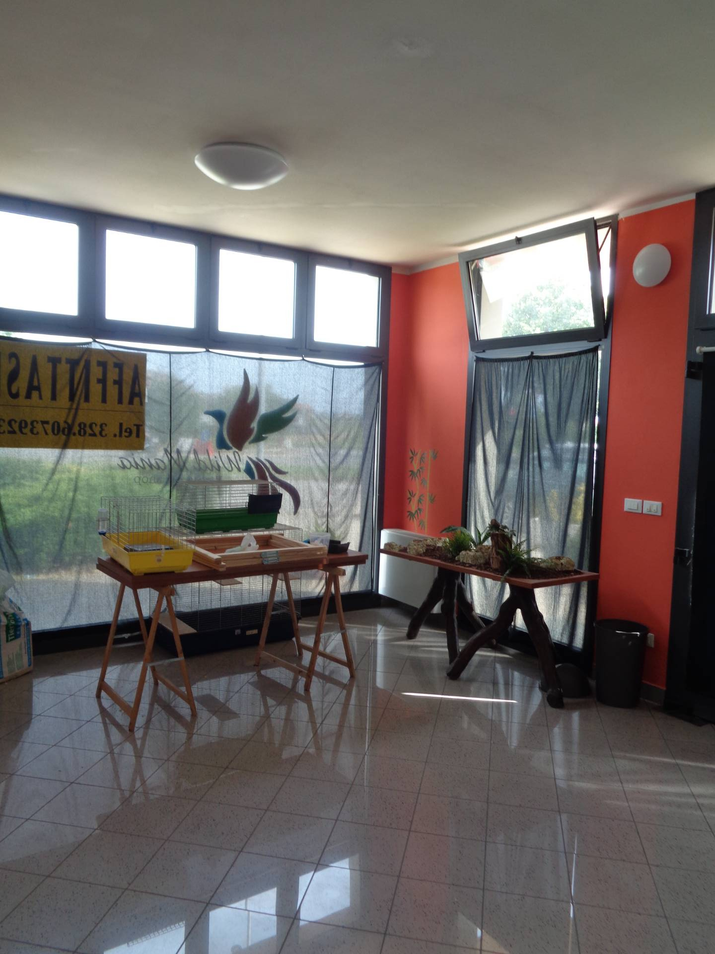 Negozio in affitto a Savignano sul Rubicone, Centro