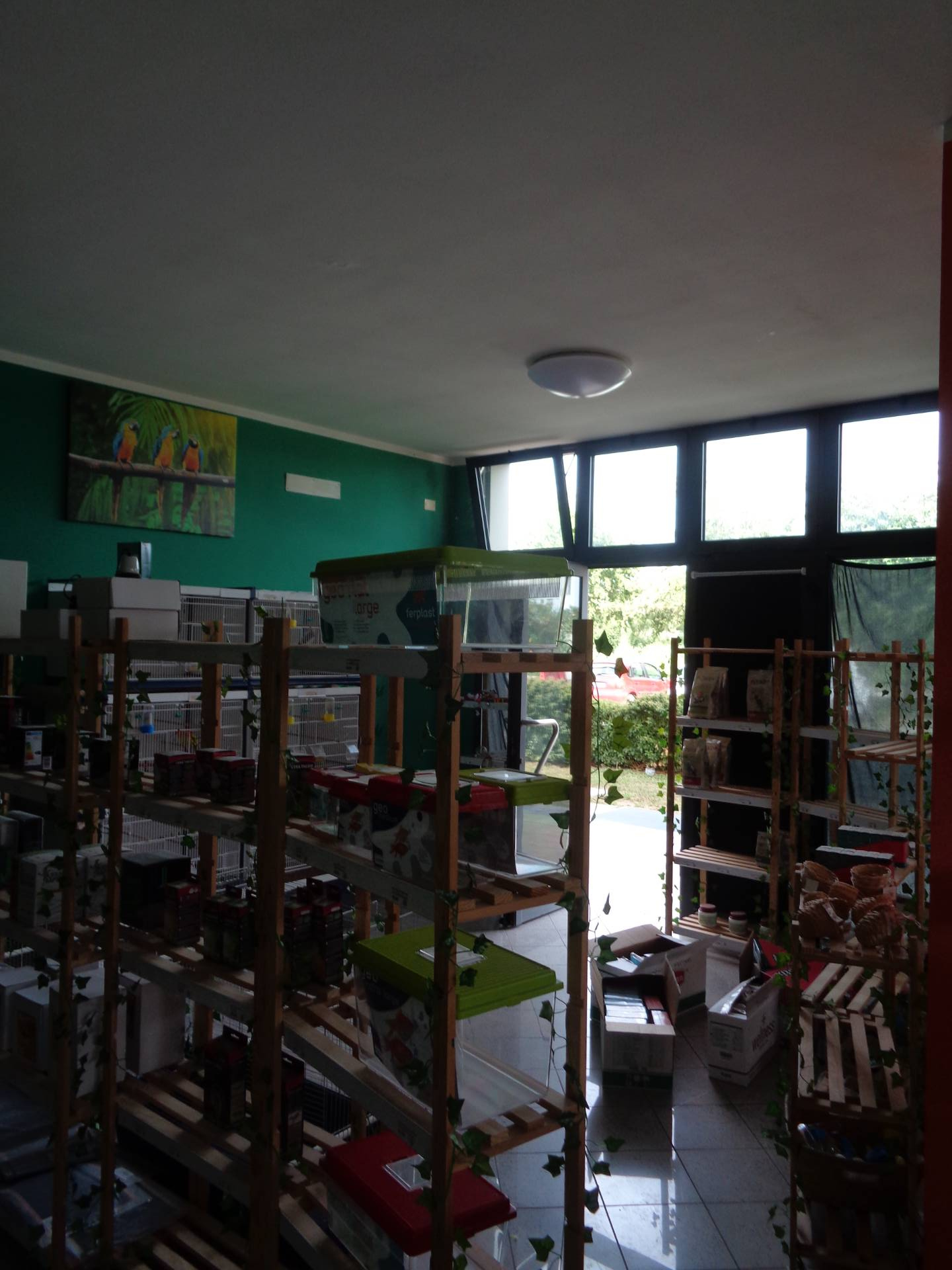 Negozio in affitto a Savignano sul Rubicone, Centro