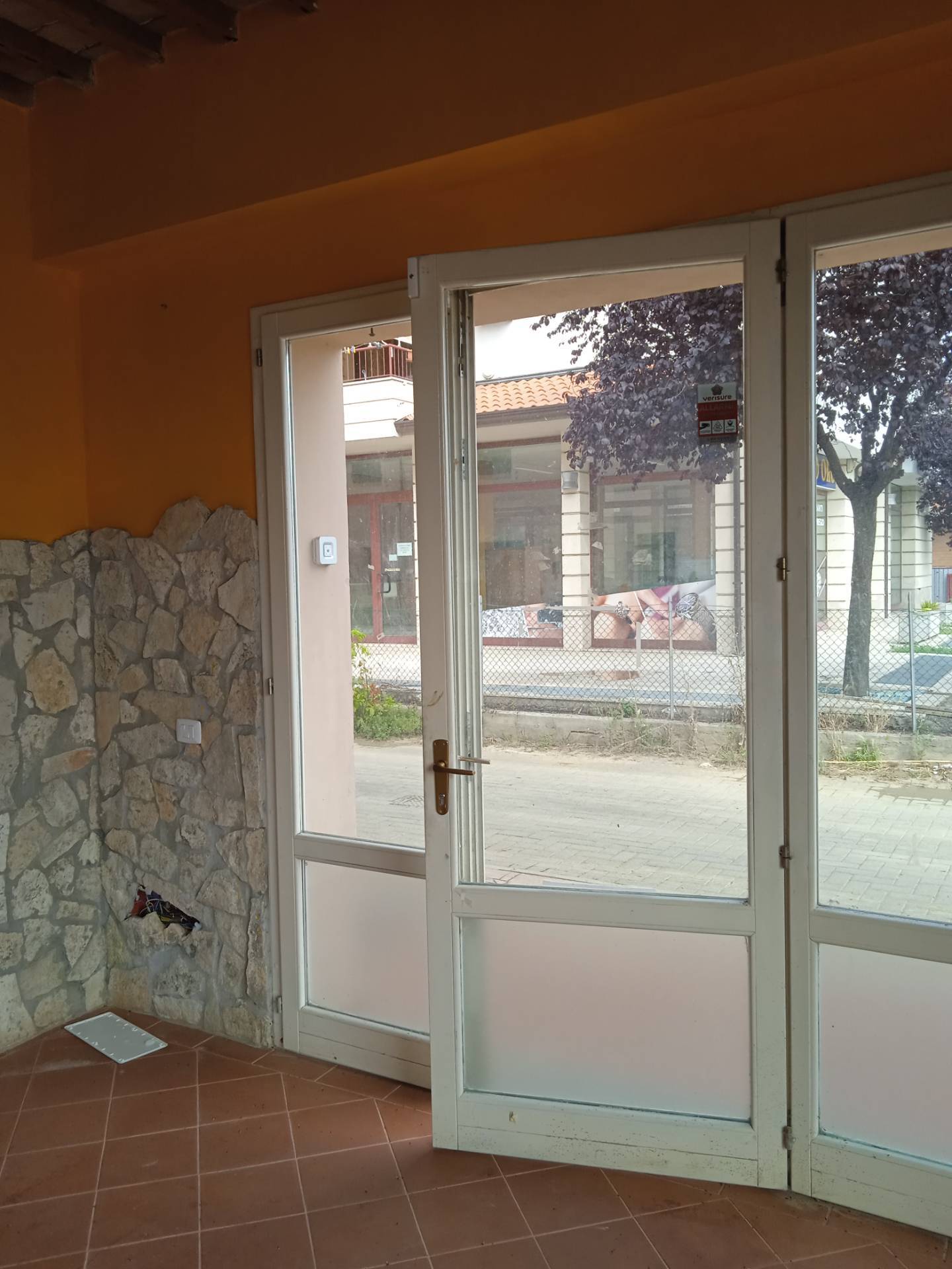 immagine annuncio 5 di 6