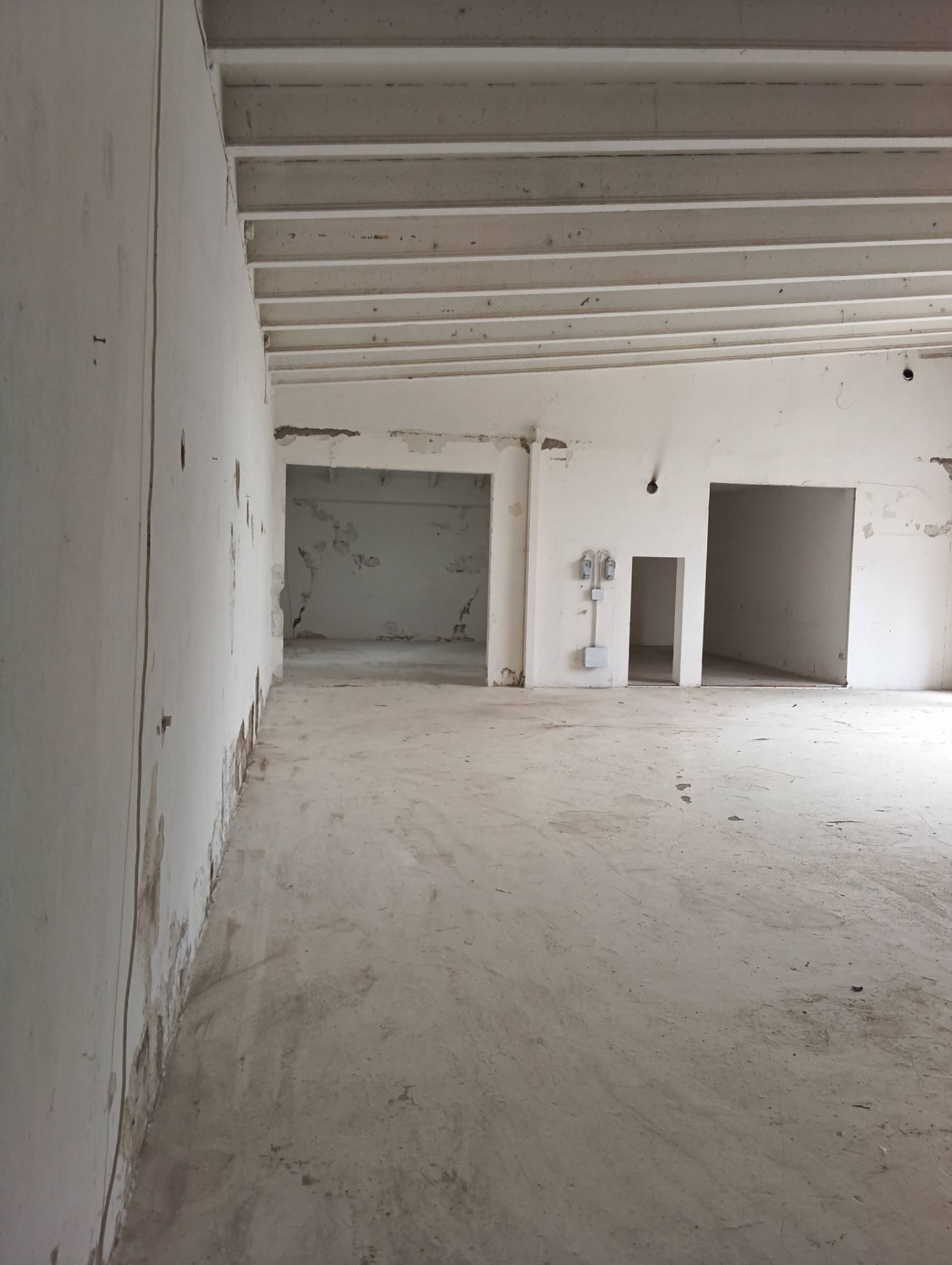 Capannone in affitto a Gambettola, Gambettola