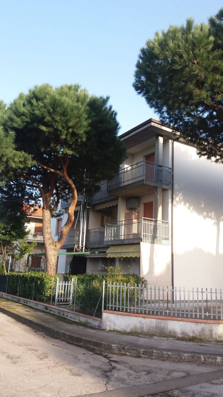 immagine annuncio 4 di 6