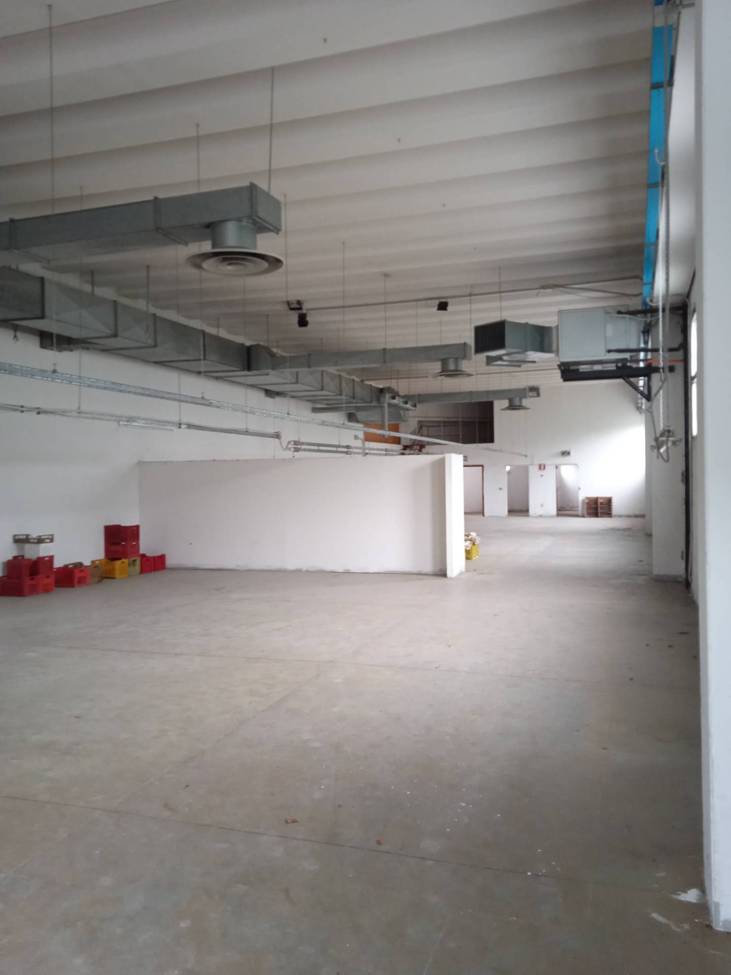 Capannone in affitto a San Mauro Pascoli, San Mauro Pascoli