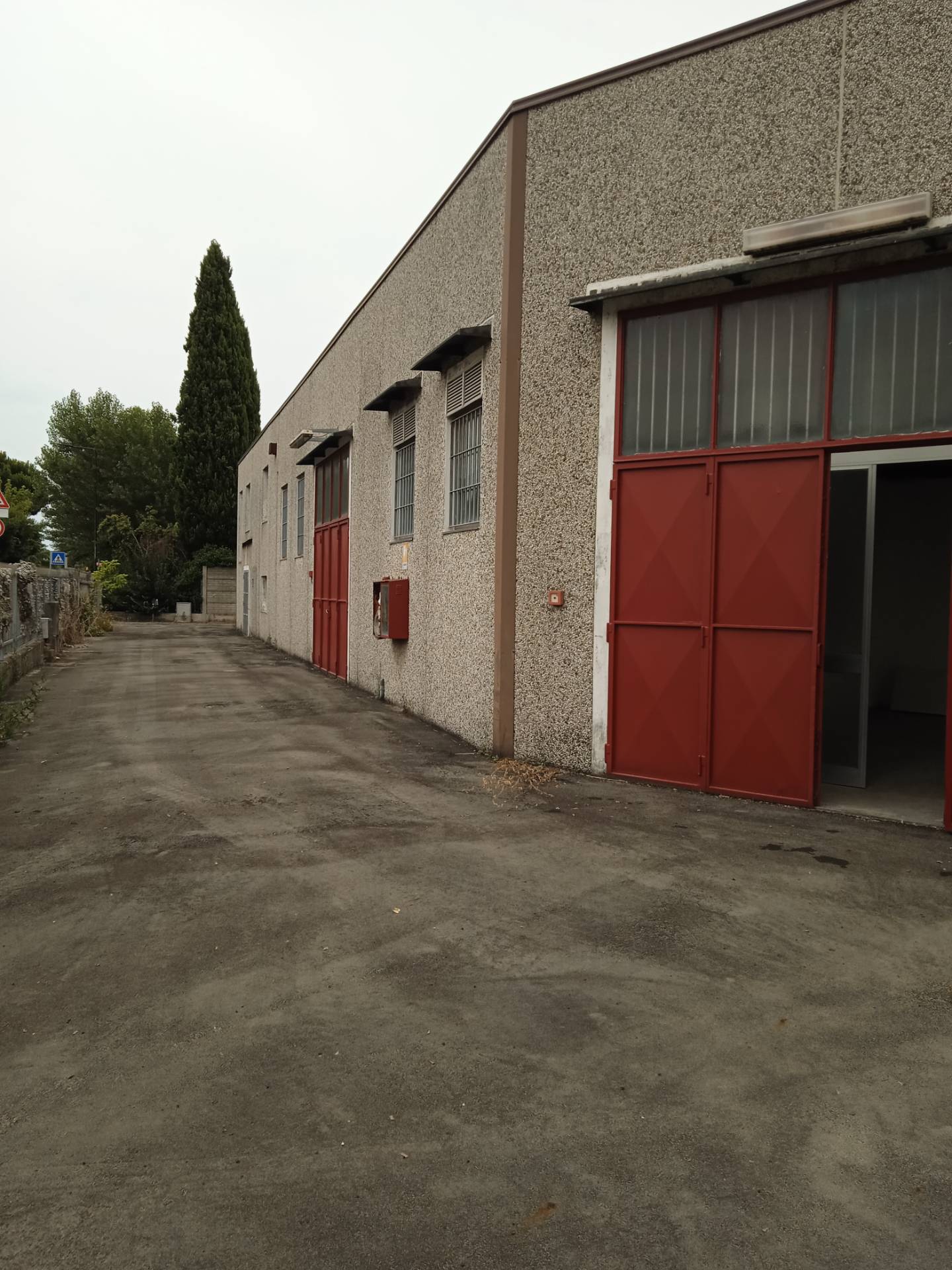 Capannone in affitto a San Mauro Pascoli, San Mauro Pascoli