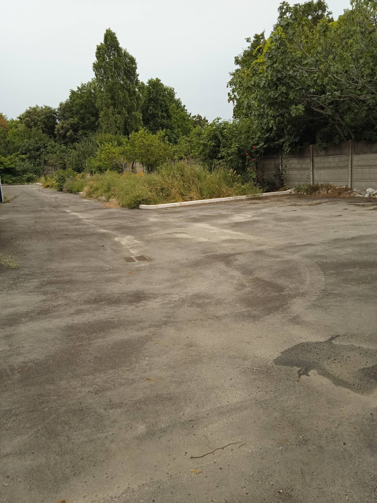 Capannone in affitto a San Mauro Pascoli, San Mauro Pascoli