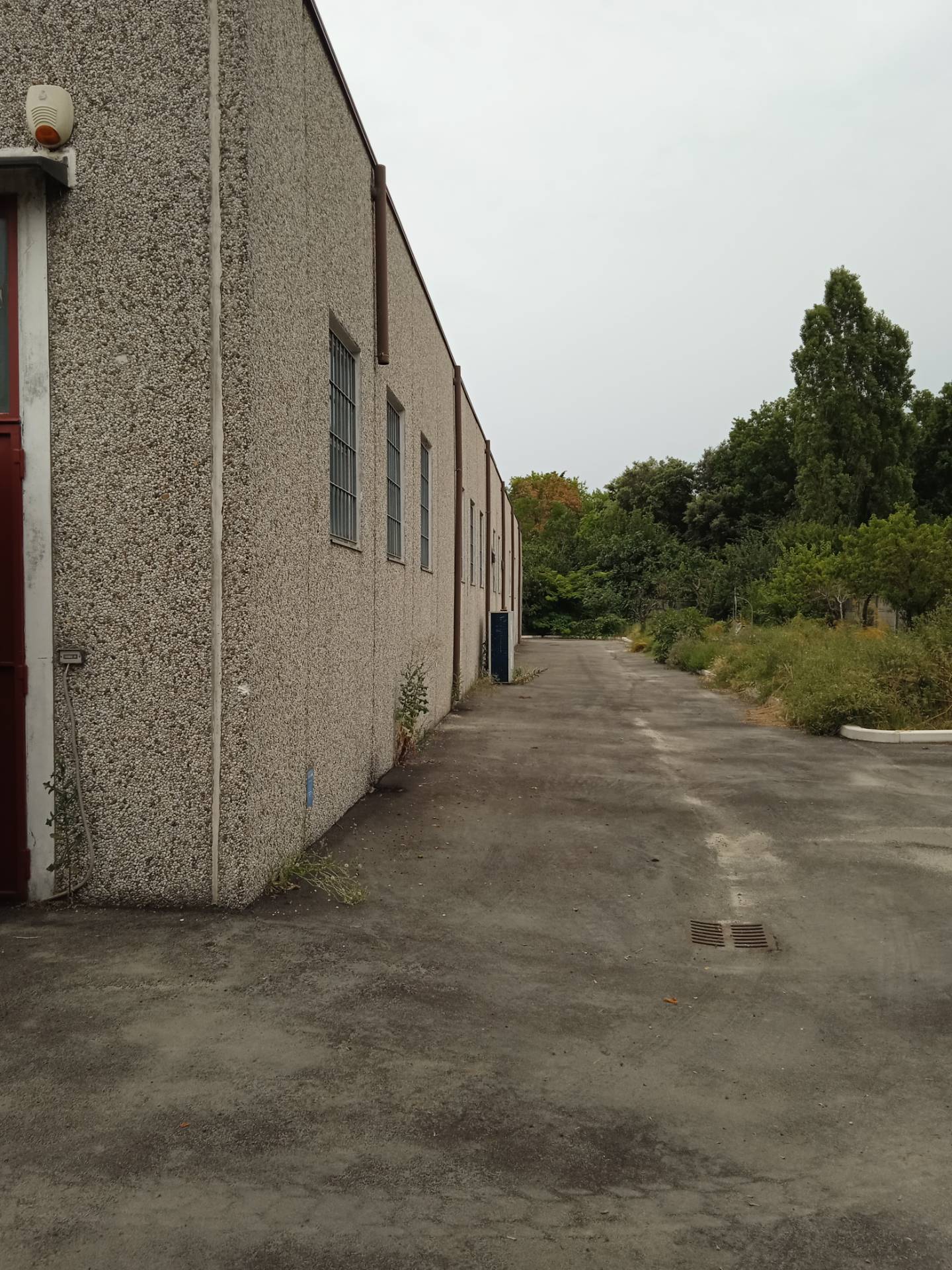 Capannone in affitto a San Mauro Pascoli, San Mauro Pascoli