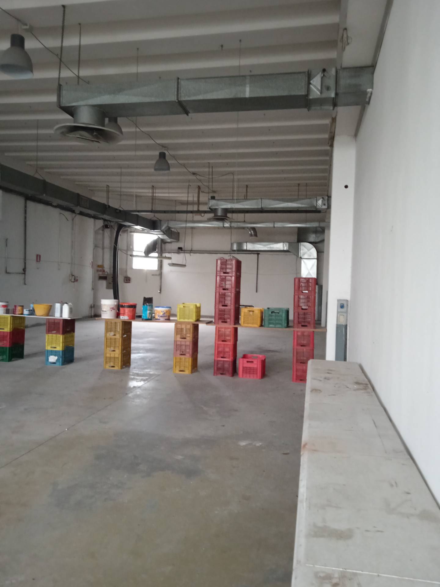 Capannone in affitto a San Mauro Pascoli, San Mauro Pascoli