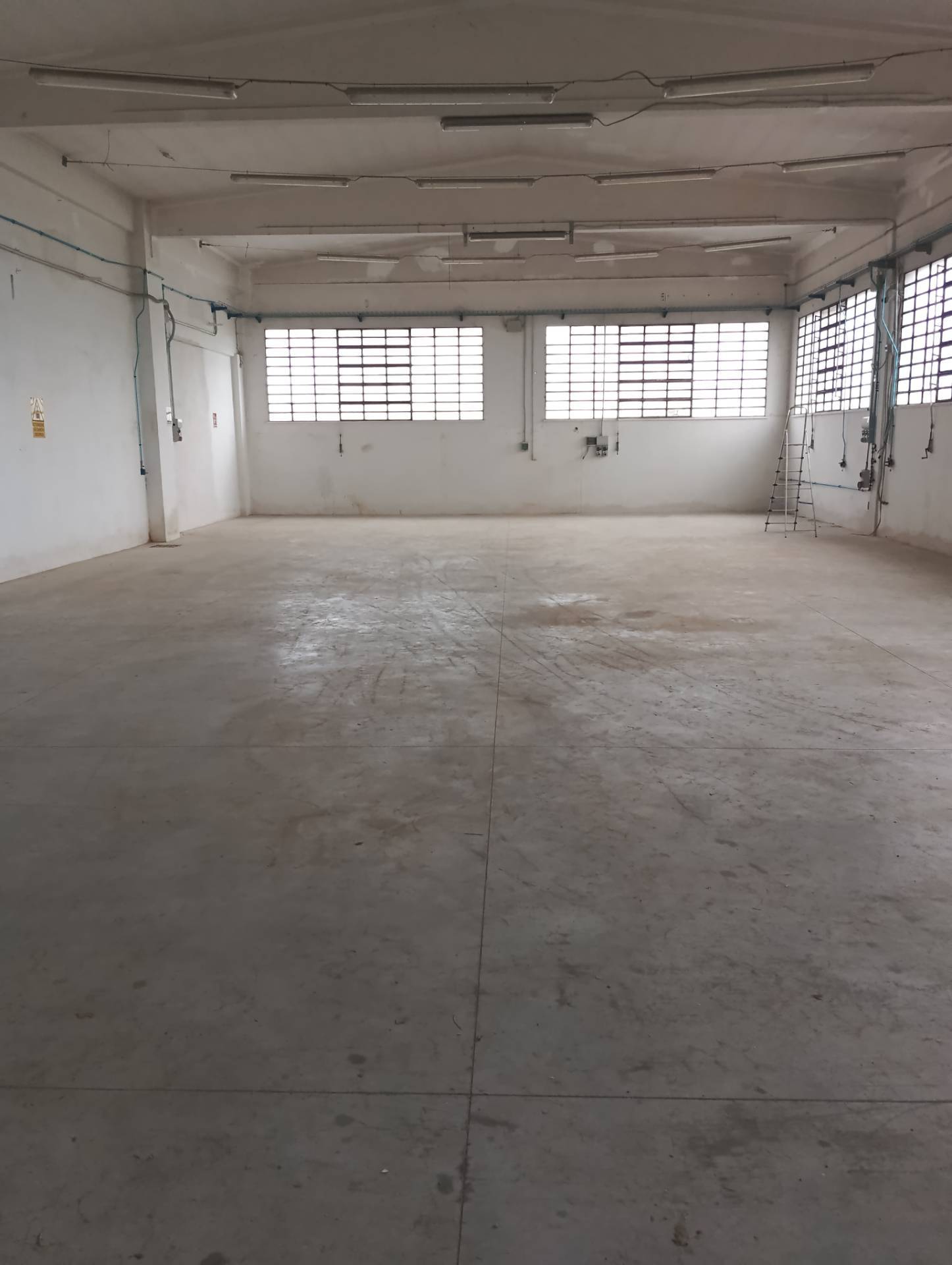 Capannone in affitto a San Mauro Pascoli, San Mauro Pascoli