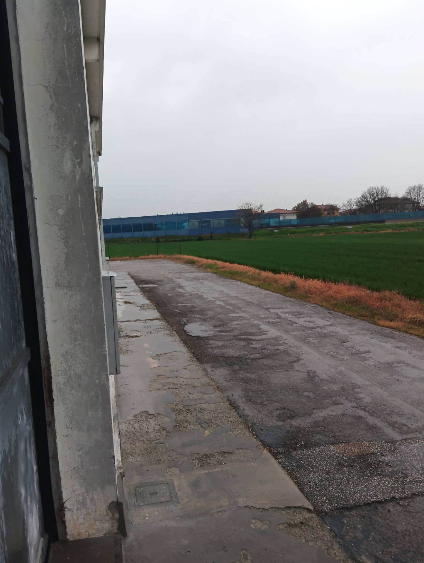 Capannone in affitto a San Mauro Pascoli, San Mauro Pascoli