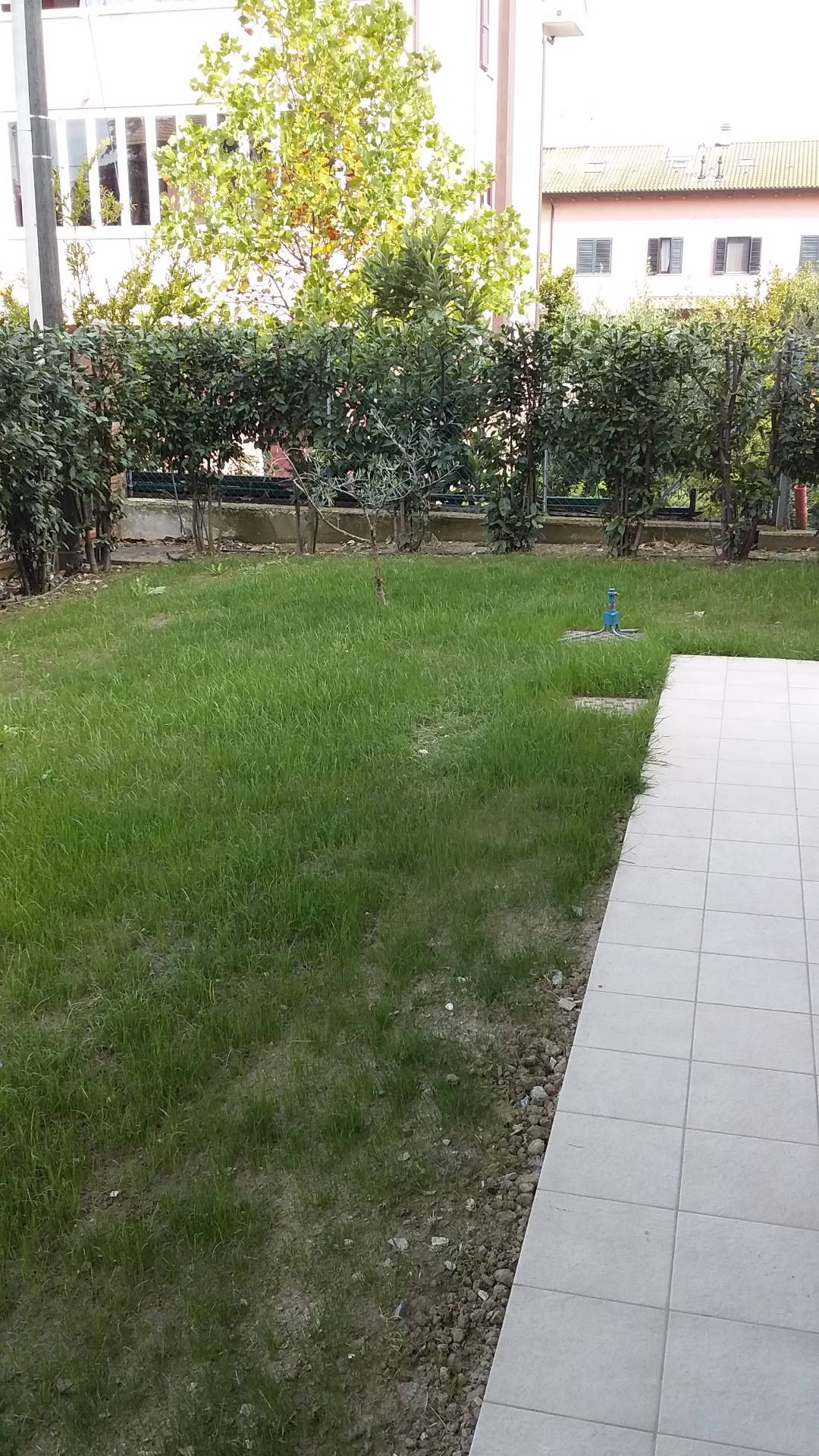 Appartamento in affitto a Cesena, Budrio Di Cesena