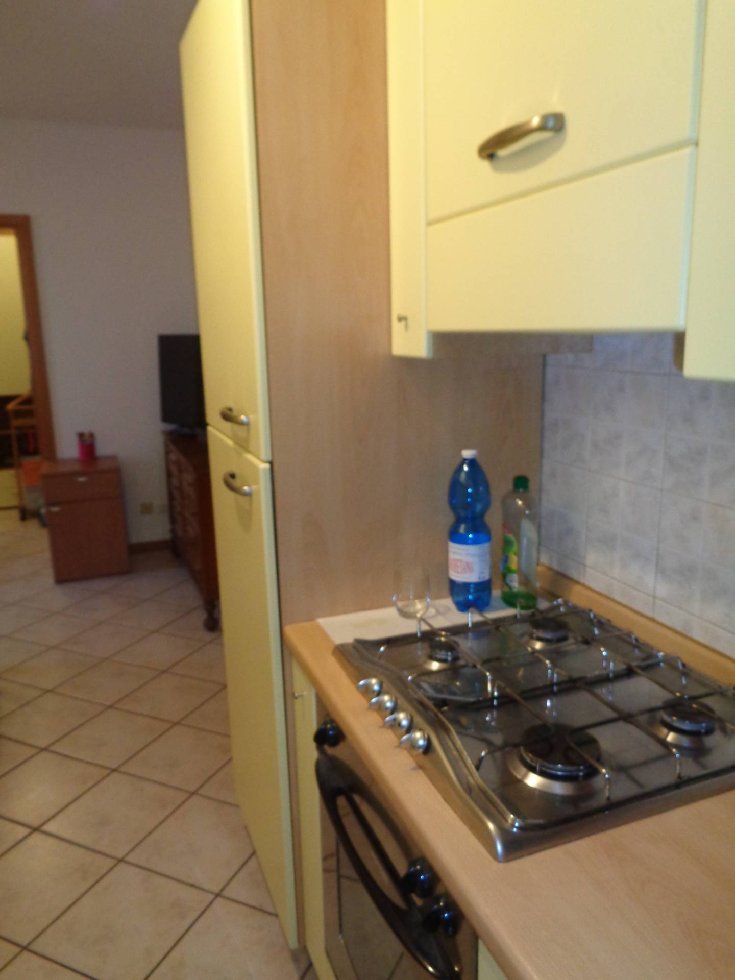 Appartamento in affitto a Savignano sul Rubicone, Savignano Sul Rubicone