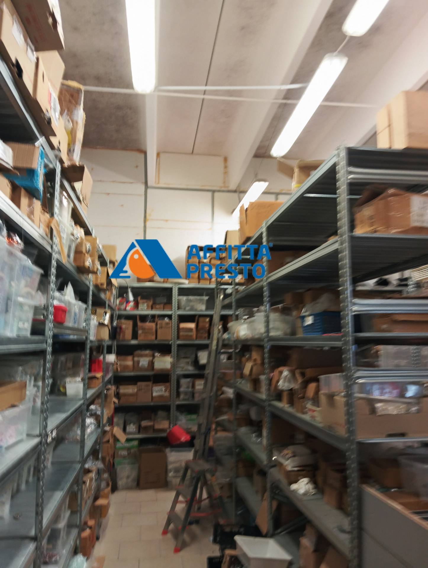 Capannone in affitto a Savignano sul Rubicone, Savignano Sul Rubicone