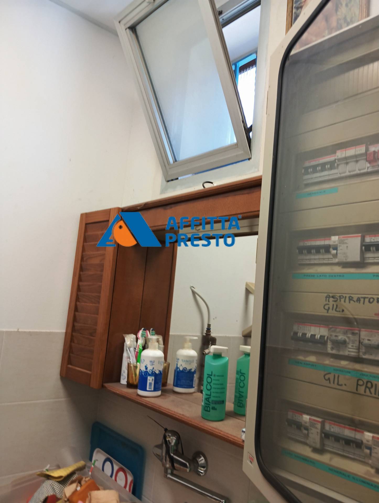 Capannone in affitto a Savignano sul Rubicone, Savignano Sul Rubicone
