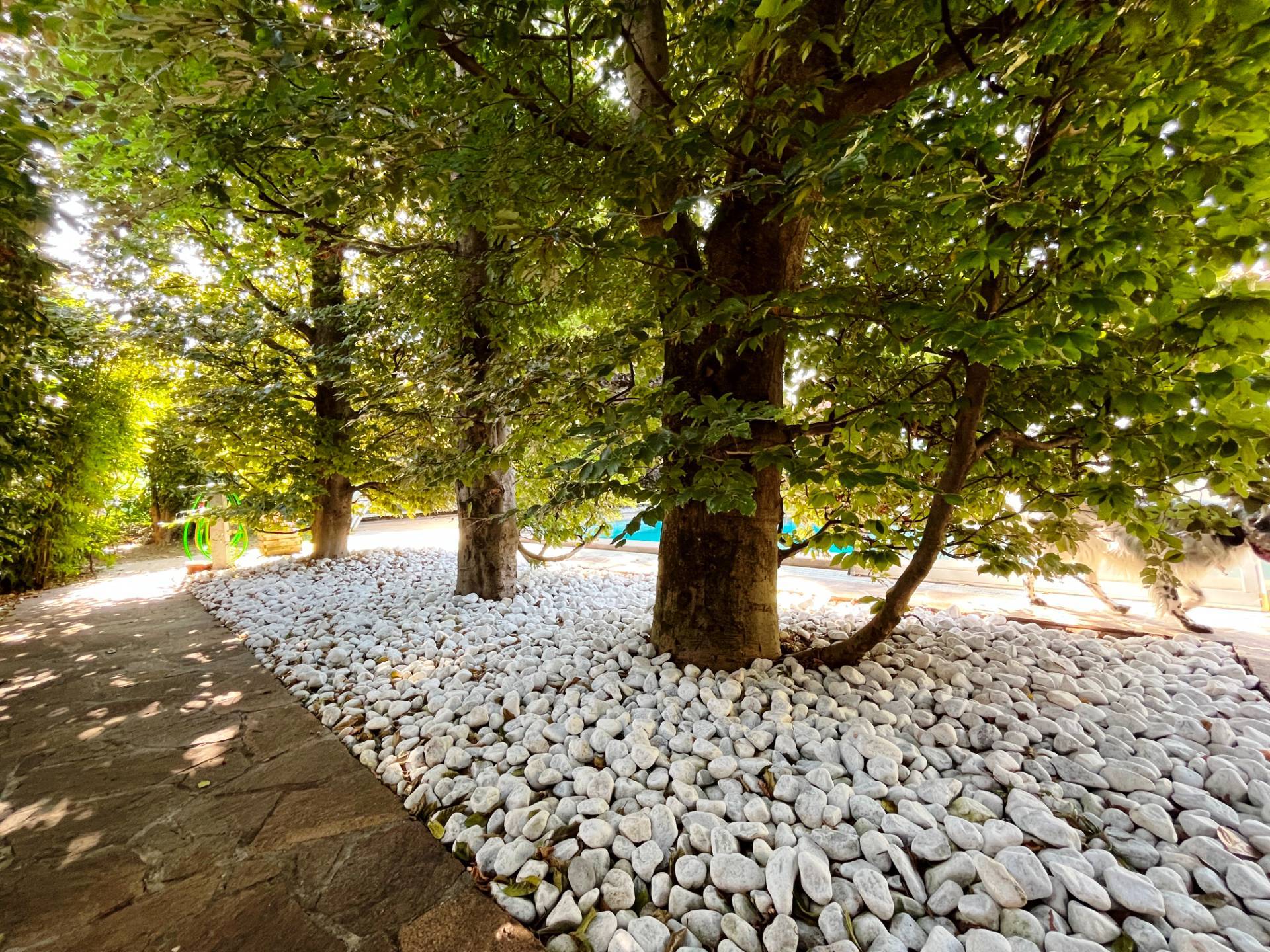 Villa in vendita a Gorizia, Montesanto