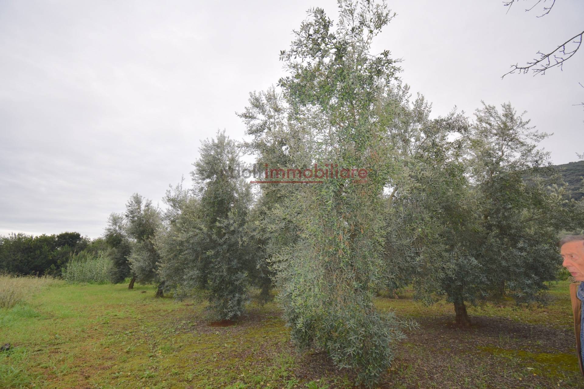 Terreno Agricolo in vendita a Gaeta