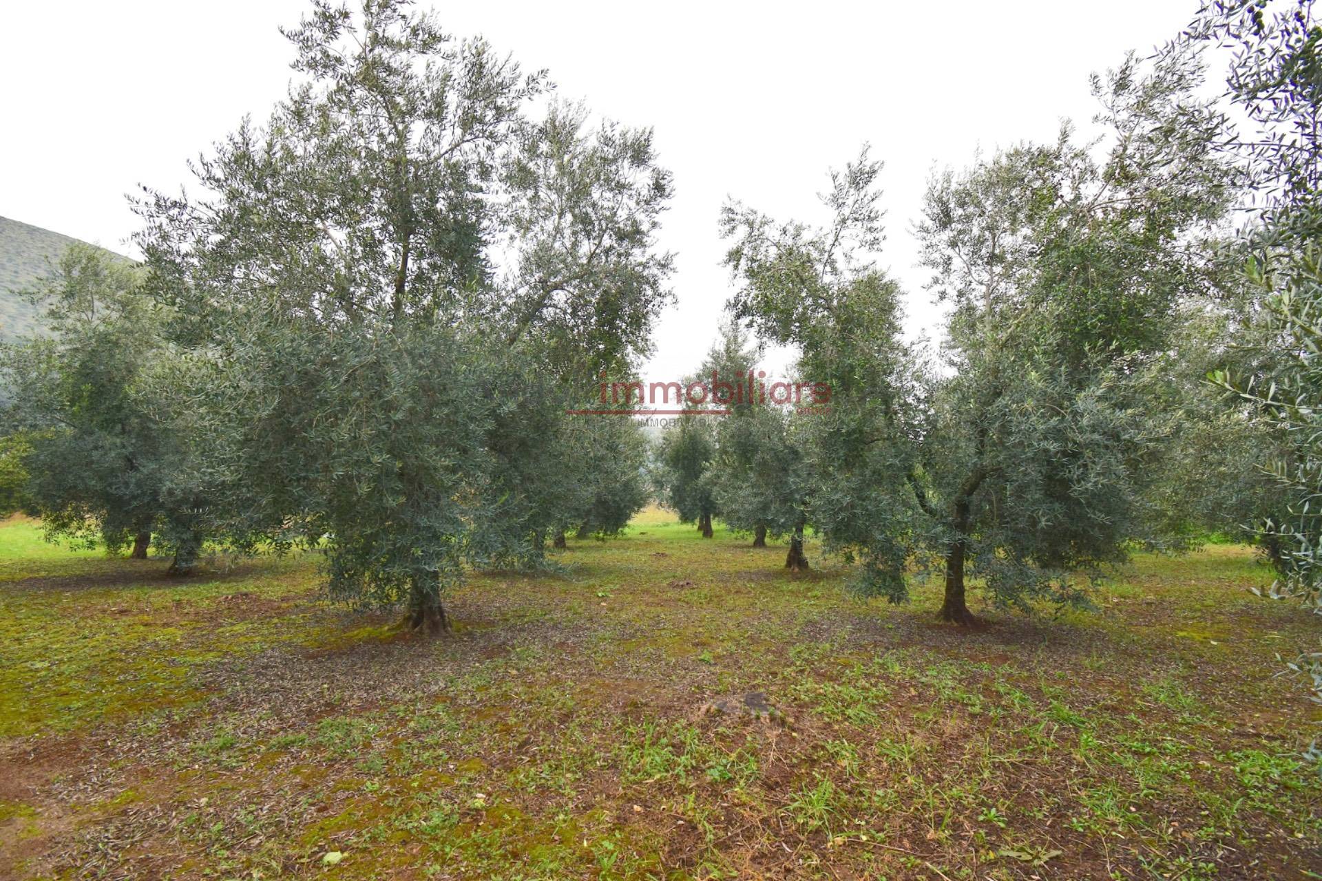 Terreno Agricolo in vendita a Gaeta