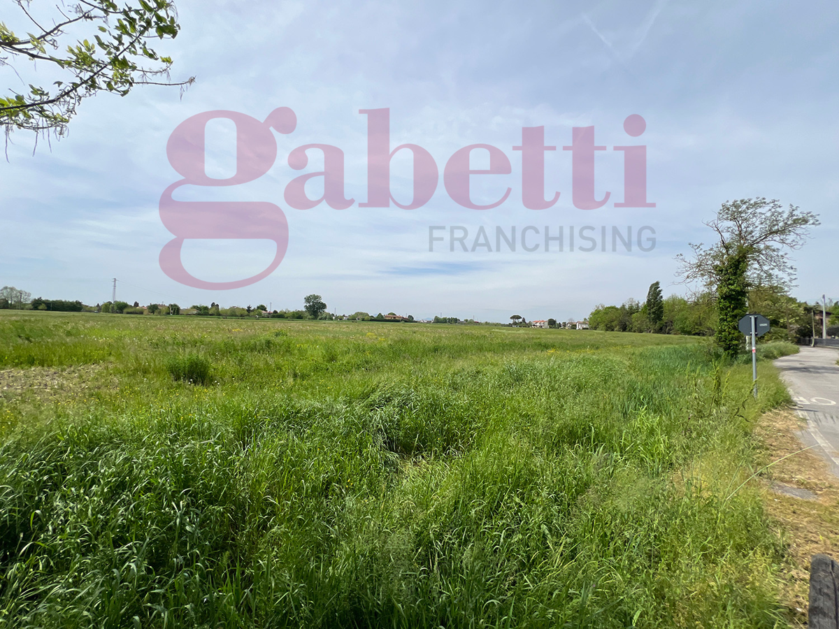 Terreno Agricolo in vendita a Piove di Sacco