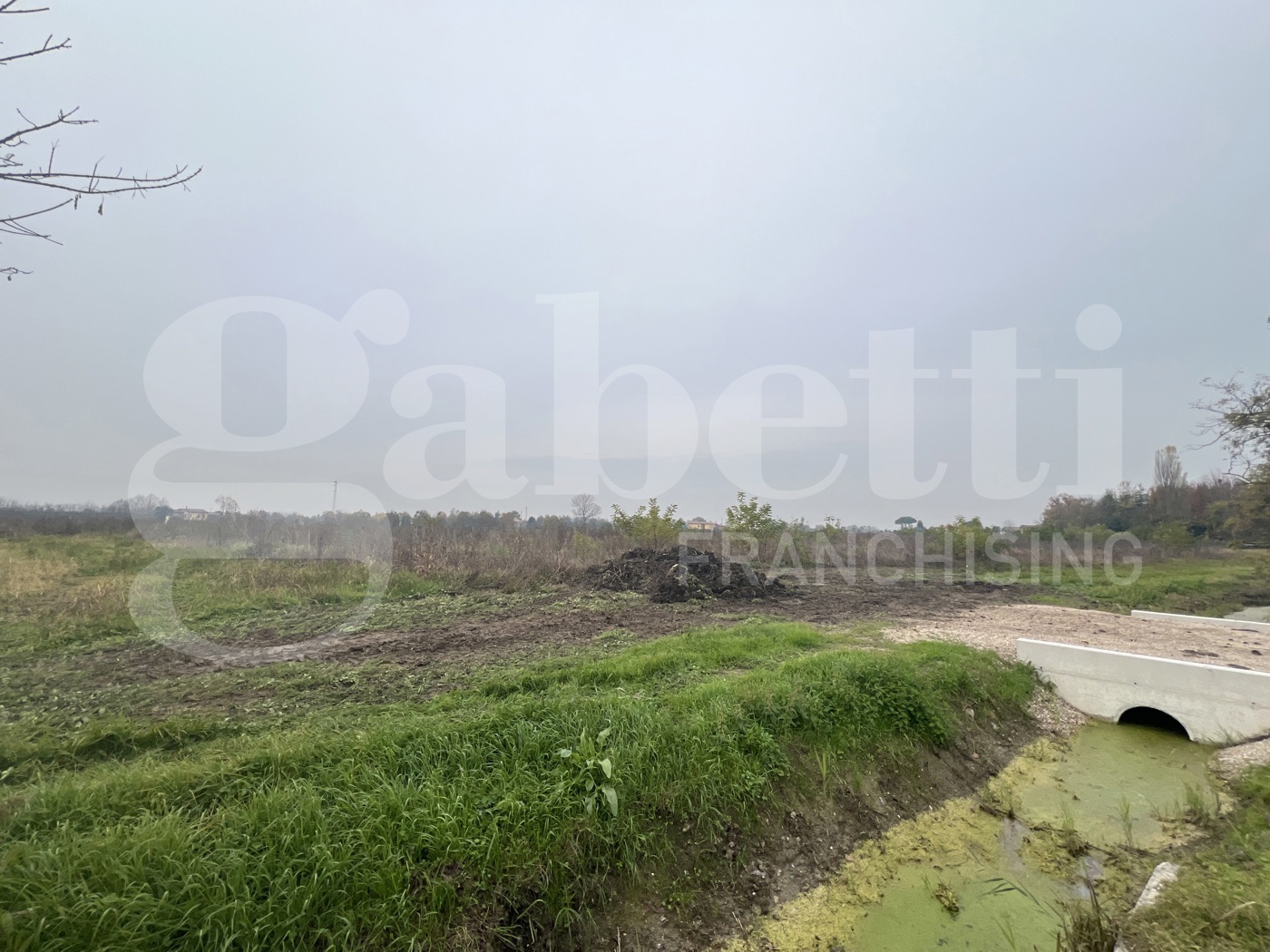 Terreno Agricolo in vendita a Piove di Sacco