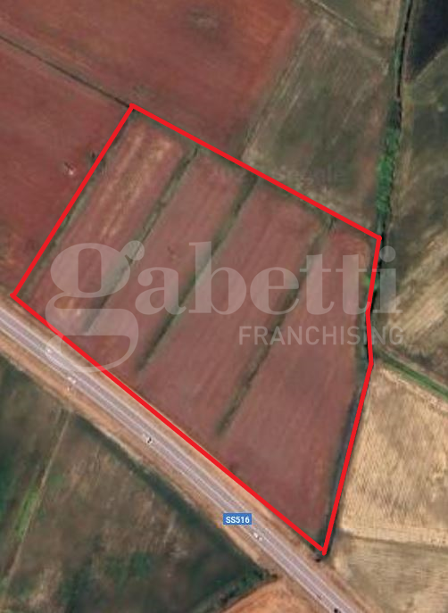 Terreno Agricolo in vendita a Codevigo