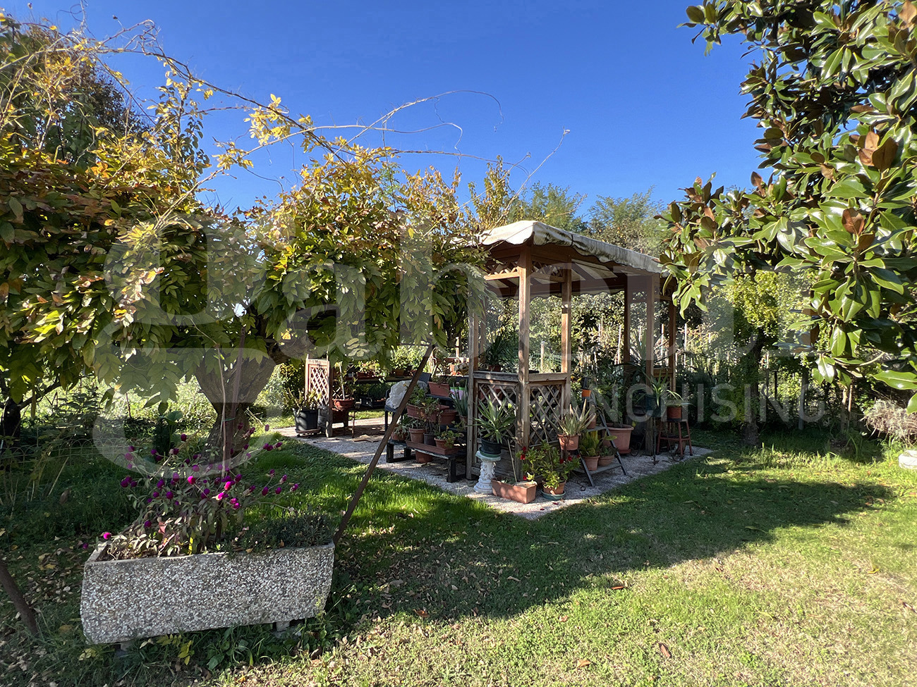 Villa Bifamiliare in vendita a Pontelongo