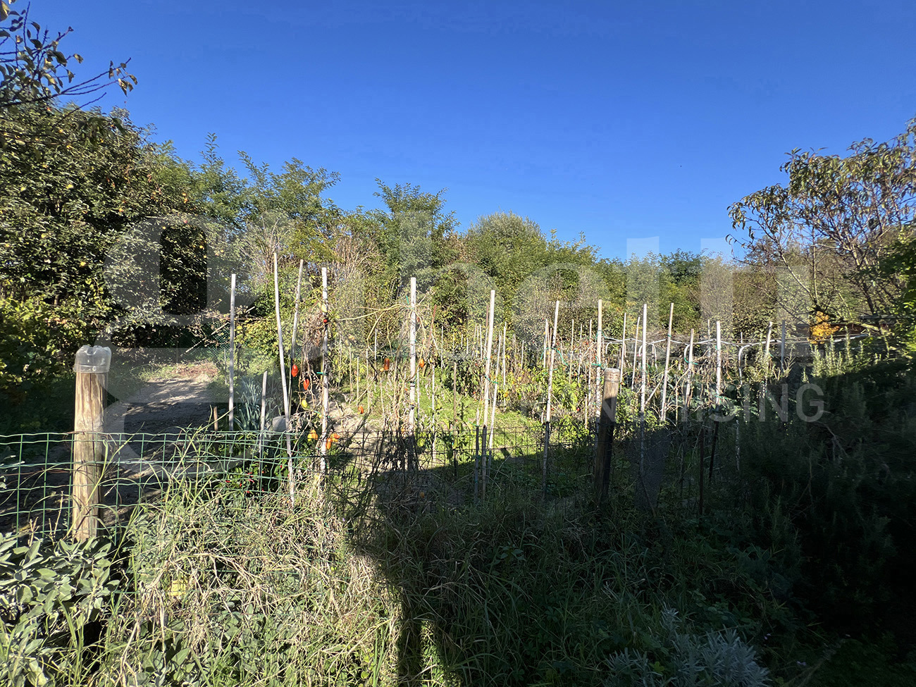 Villa Bifamiliare in vendita a Pontelongo