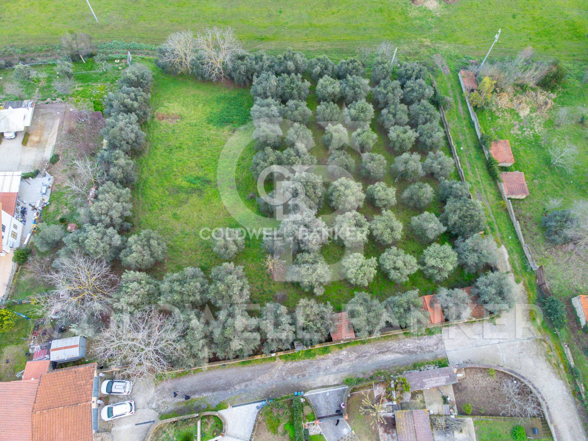 Terreno Edificabile in vendita a Anguillara Sabazia