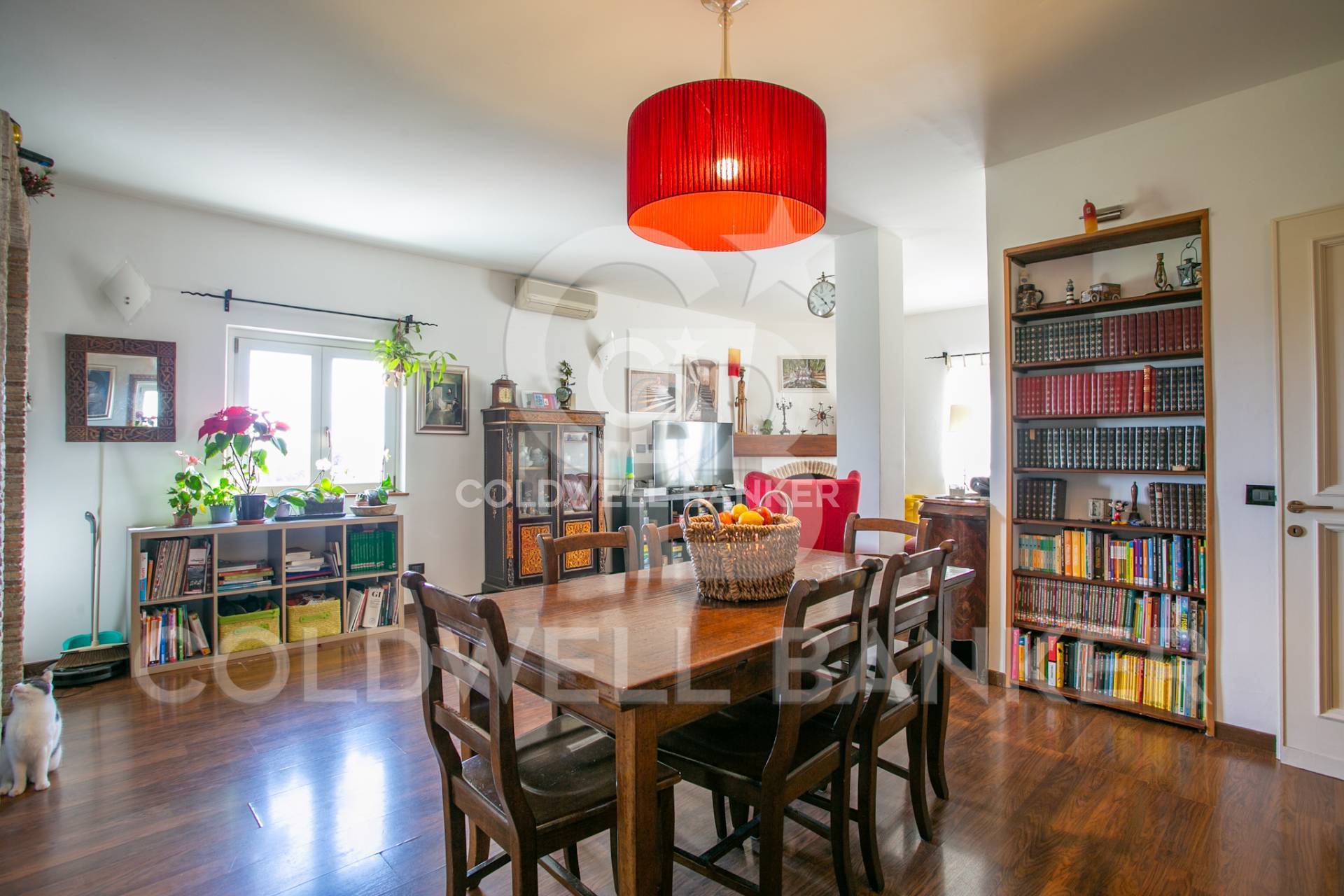 4 o pi locali in vendita a Anguillara Sabazia